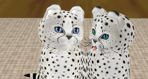 Web 62502c40272df72b17bd308f