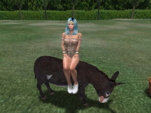 Web 65123ae5d9c68f038e018553