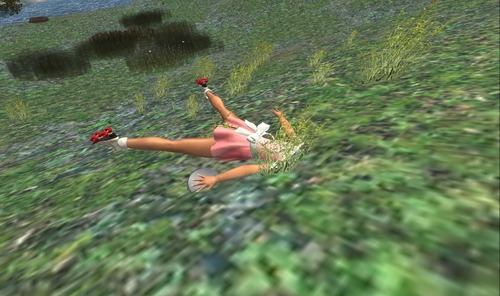 Web 50a46cc3e5df575580000001