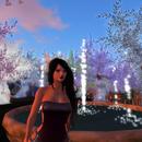 Thumb 5dab6b18d774f83e8e000001