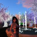 Thumb 5dab6cec289dd245a2000001