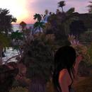 Thumb 5dab6e34289dd253e5000001