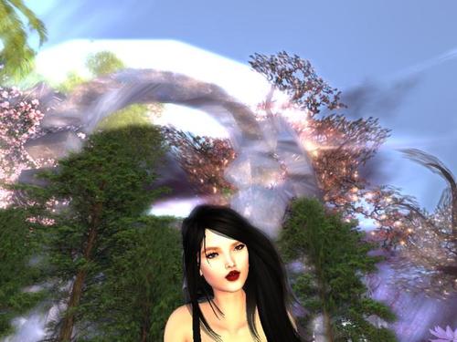 Web 5db1aded73ed1711fd000001