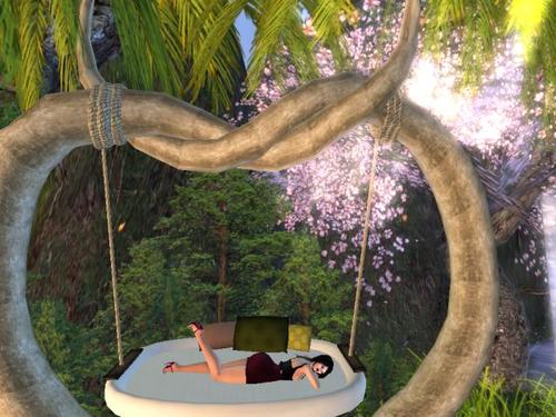 Web 5db1b283d9859c309d000001