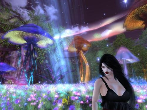 Web 5db1c399d774f81804000001