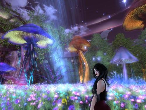 Web 5db1c3c573ed177762000001