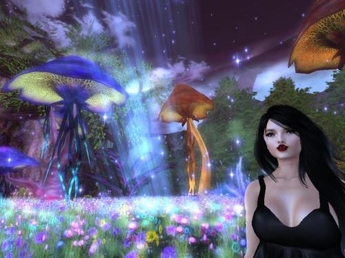 Web 5db1c444d9859c06de000001