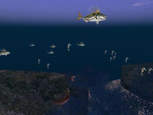 Web 5dc34860d774f80716000001