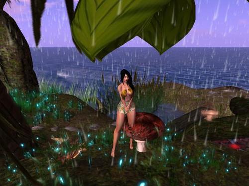 Web 5dc34df473ed1714d2000001