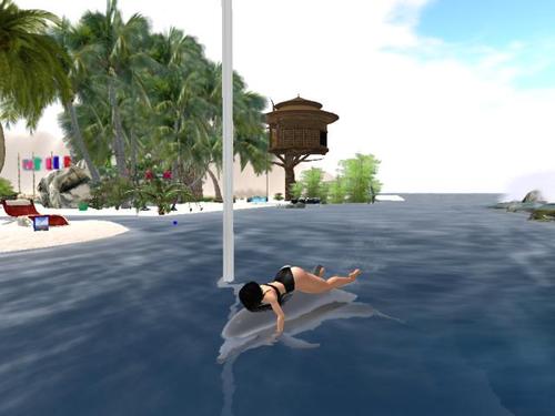 Web 5dcdc7cb289dd27ef8000001