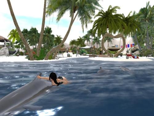 Web 5dcdc8a8d9859c6d73000001