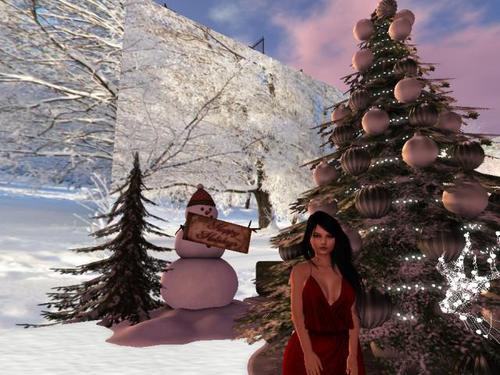 Web 5df7d9e7d9859c7ea16ad327