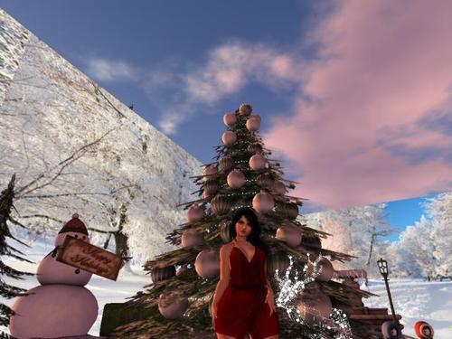 Web 5df7da5dd9859c03c6cfdfce