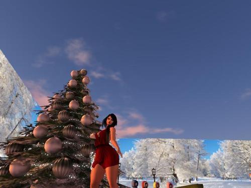 Web 5df7dab3d9859c0712ecc72e