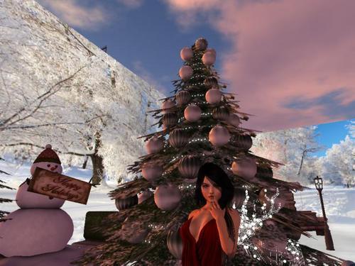 Web 5df7db2773ed173df613d029