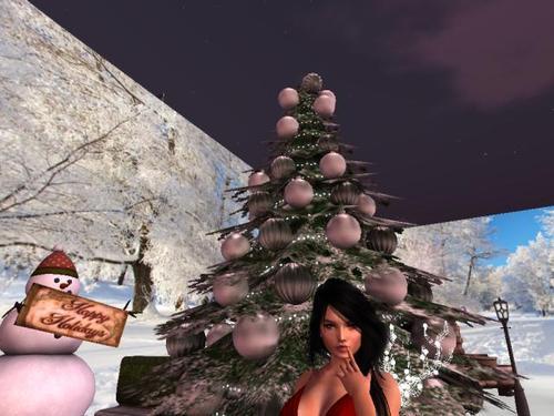 Web 5df7dd65d774f82786b30ca2