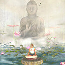 Thumb 662d50efb6f8aa0af6c7c337