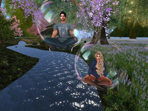 Web 620eac817855d73a24d50b36