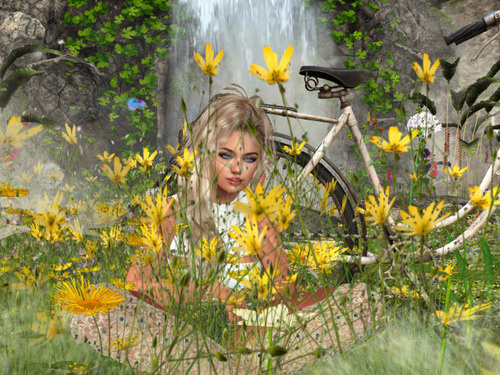 Web 662d565f4fa27c43fc4e126b