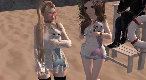 Web 593f636573ed177773000001