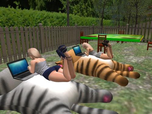 Web 5910d5d373ed172f18000001