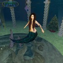 Thumb 50d87c18e67db241f5000001