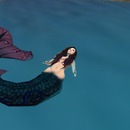 Thumb 50d87dc49213a83f94000001