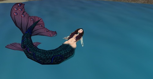 Web 50d87dc49213a83f94000001