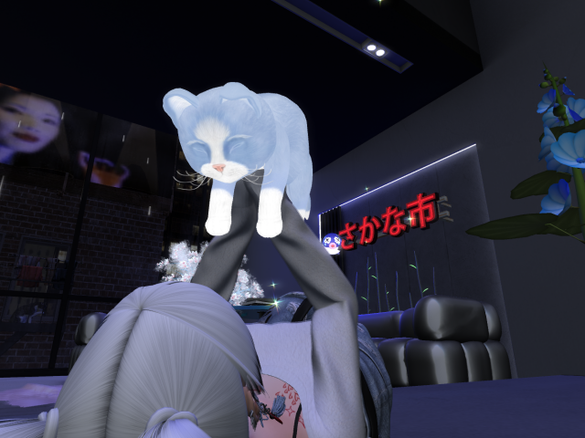 Original 64cd9036cff26319b66857bf