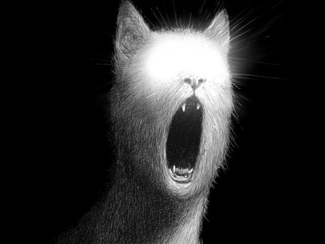 Original 6703084141307005ef01e9d5