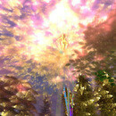 Thumb 64bb1ecfa8e1a61cff168834