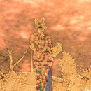 Thumb 64bb26aa9ff9d1625b42fe76