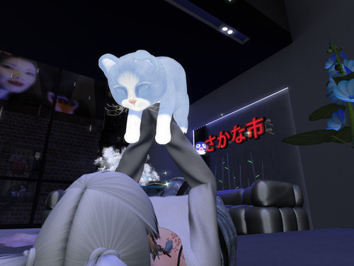 Web 64cd9036cff26319b66857bf