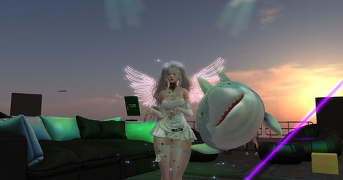 Web 656c2d8795dcc974eb4c7984