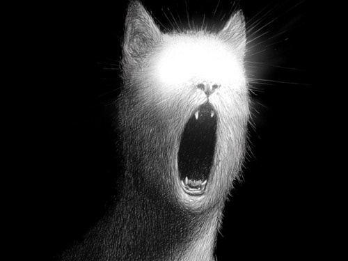 Web 6703084141307005ef01e9d5