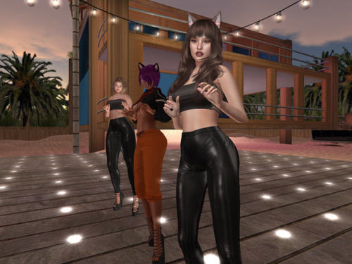 Web 6628b30b2c8ed23759729709