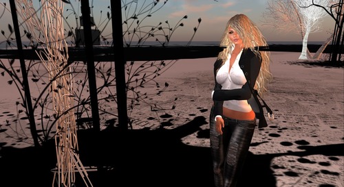 Web 500740b4c924d9144e000001