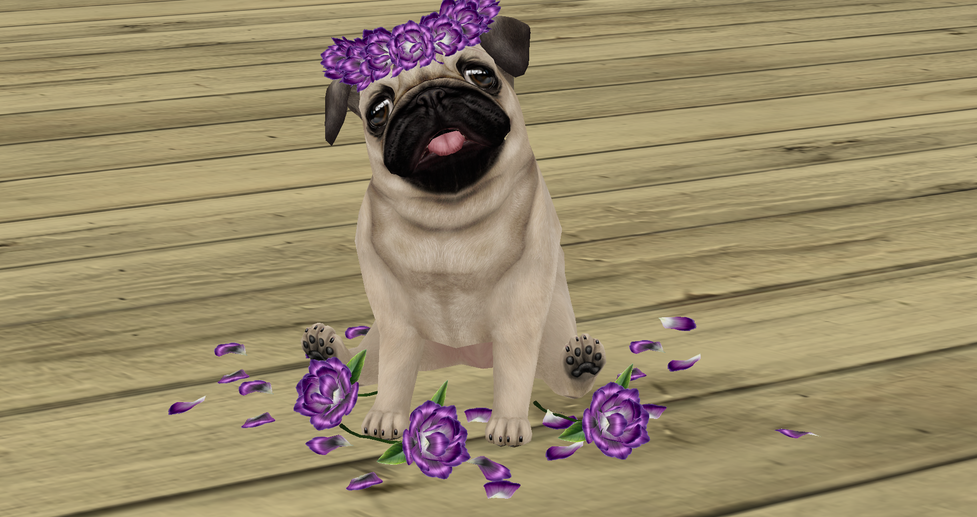 Original 58a7400fe85cda1306000001