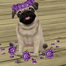 Thumb 58a7400fe85cda1306000001