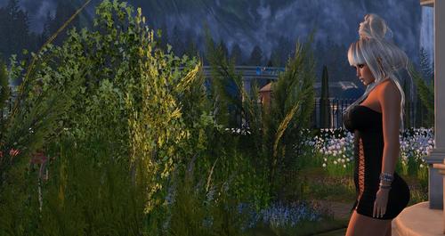 Web 59b7294fd774f84236000001