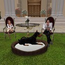 Thumb 5395917ff8a1ec1c26000001