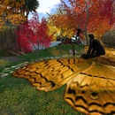 Thumb 5467d802f8a1ec17eb000001