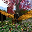 Thumb 5467d9ec8da57245cc000001