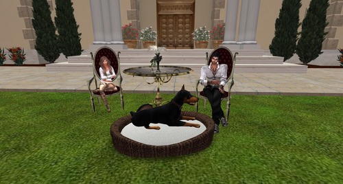 Web 5395917ff8a1ec1c26000001