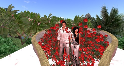 Web 5397f53bf8a1ec5117000001