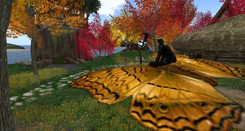 Web 5467d802f8a1ec17eb000001