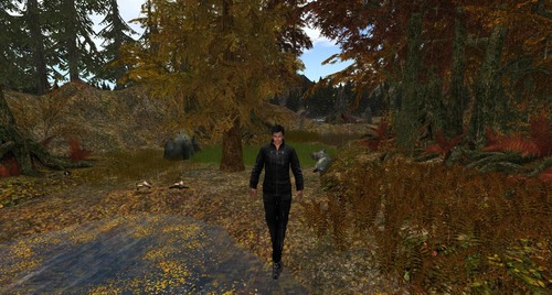 Web 5467da5a128cc95c07000001