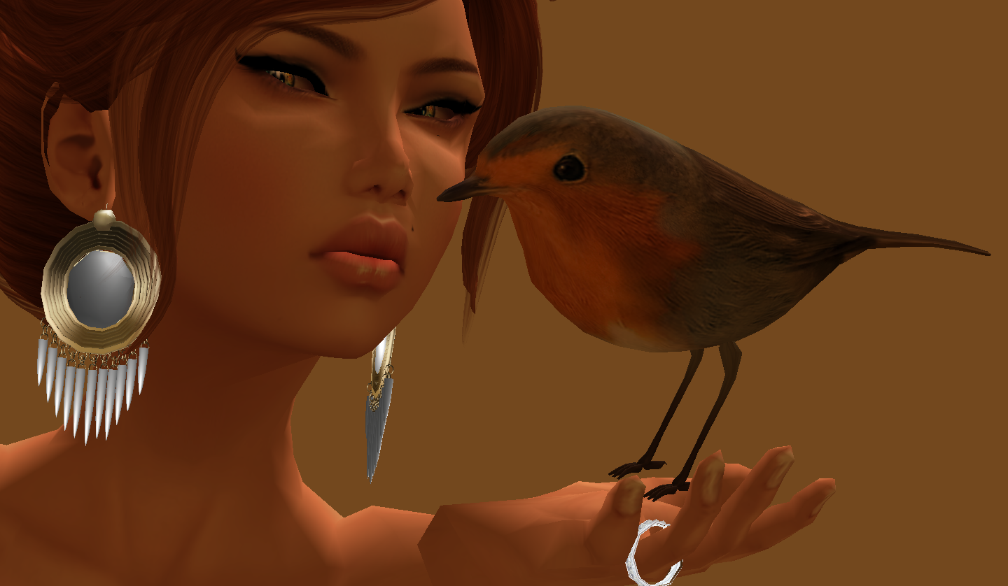 Original 50f9d1c3241e961120000001