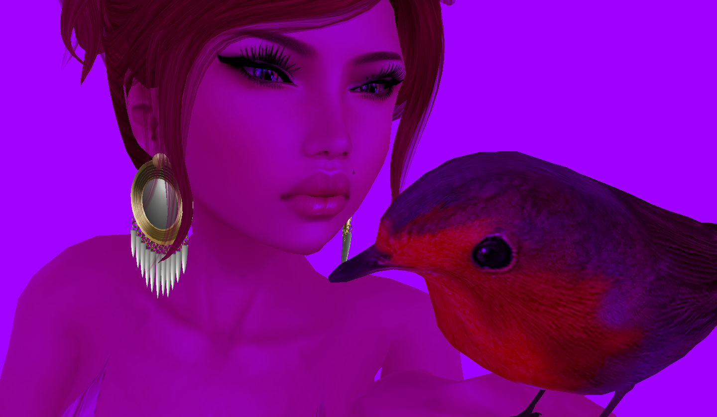 Original 50f9d4032dc68678d6000001