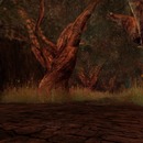 Thumb 506b79f642f2193278000001